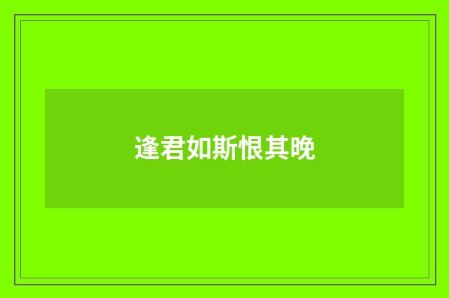 逢君如斯恨其晚