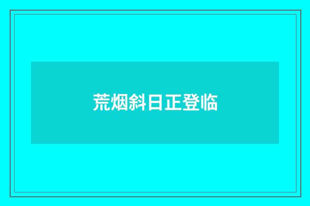 荒烟斜日正登临