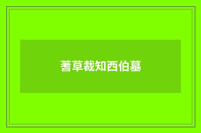 蓍草裁知西伯墓
