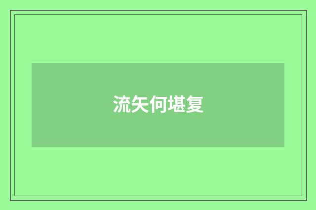 流矢何堪复