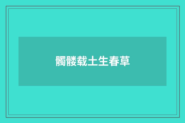 髑髅载土生春草