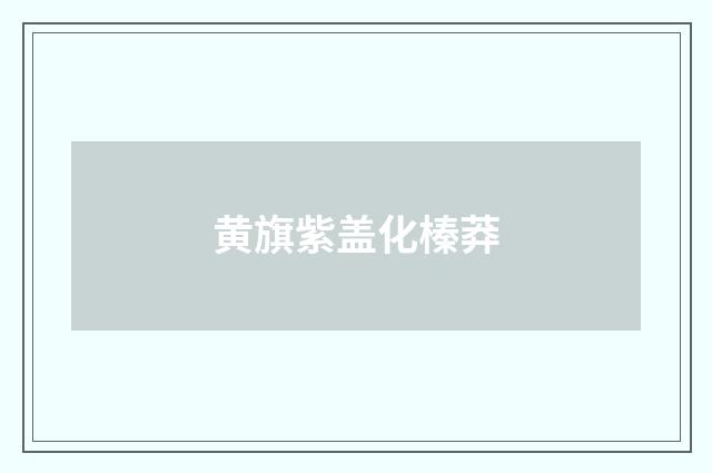 黄旗紫盖化榛莽
