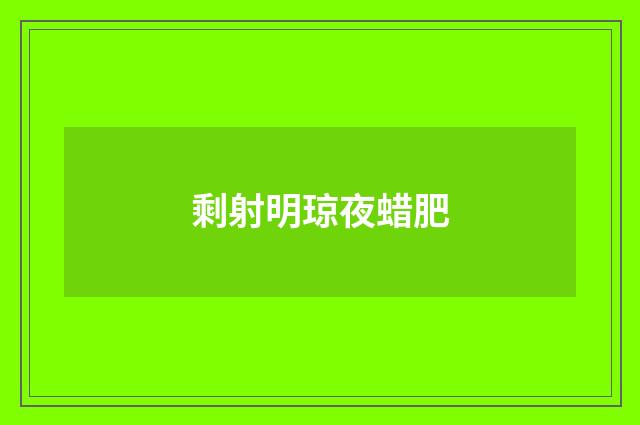 剩射明琼夜蜡肥