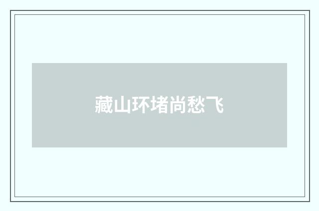 藏山环堵尚愁飞