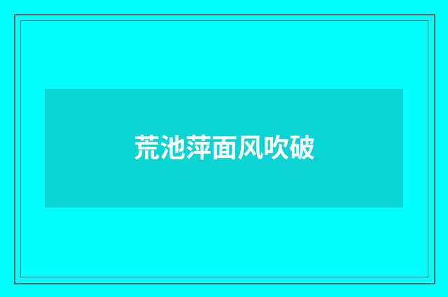 荒池萍面风吹破