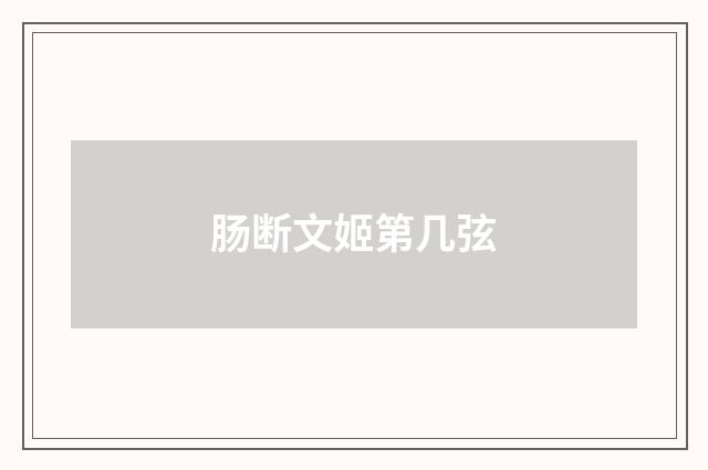 肠断文姬第几弦