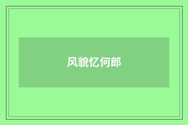 风貌忆何郎