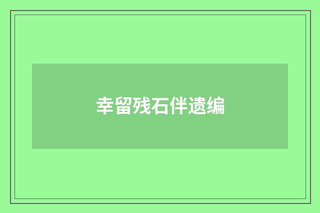 幸留残石伴遗编