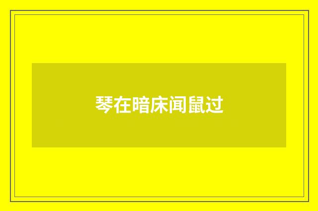琴在暗床闻鼠过