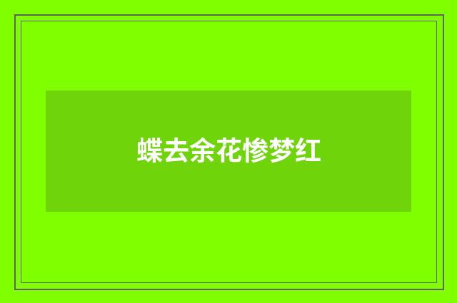 蝶去余花惨梦红