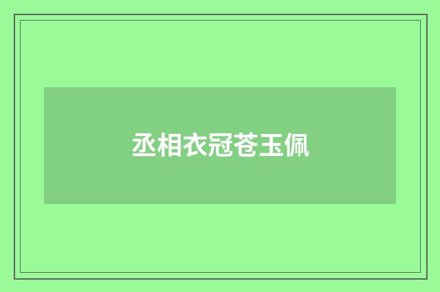 丞相衣冠苍玉佩