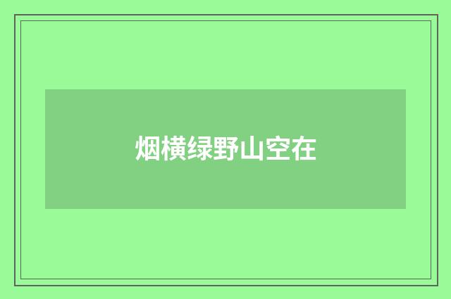 烟横绿野山空在