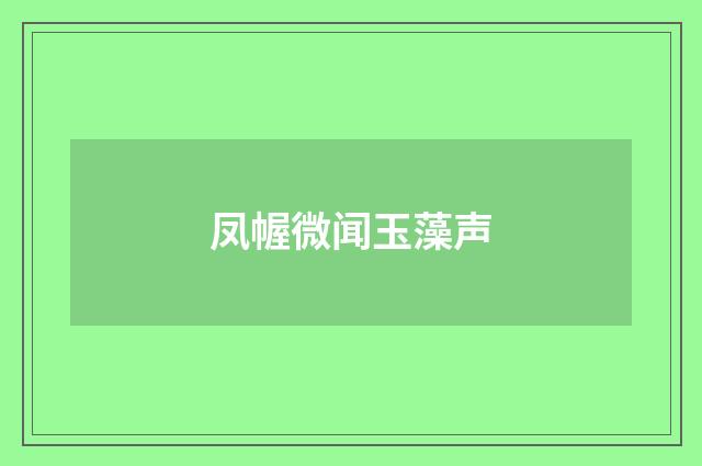 凤幄微闻玉藻声