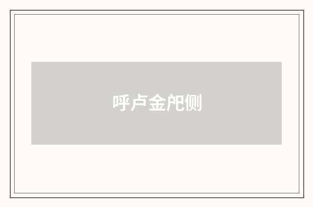 呼卢金戺侧