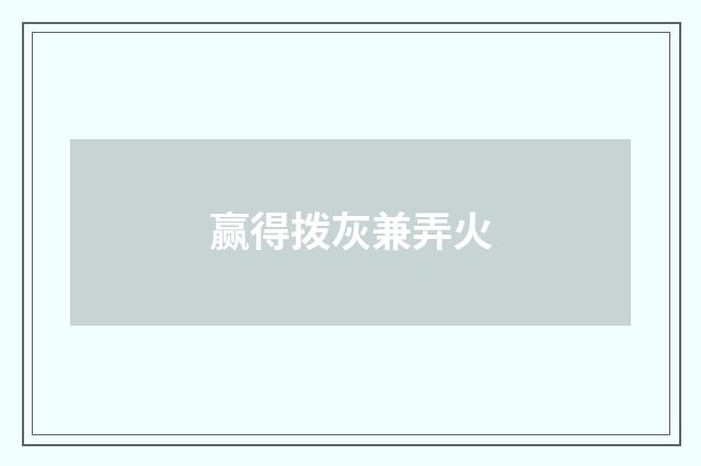 赢得拨灰兼弄火