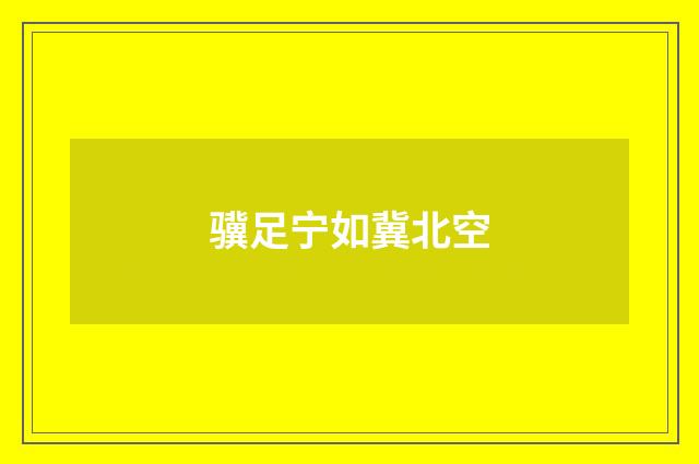 骥足宁如冀北空
