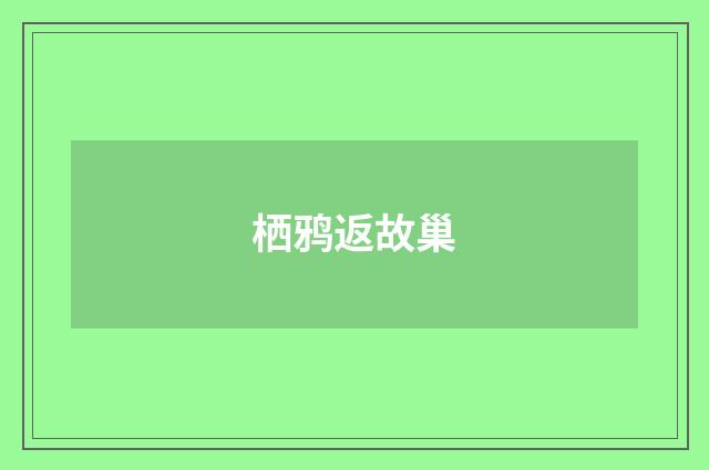 栖鸦返故巢