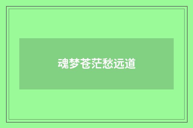 魂梦苍茫愁远道
