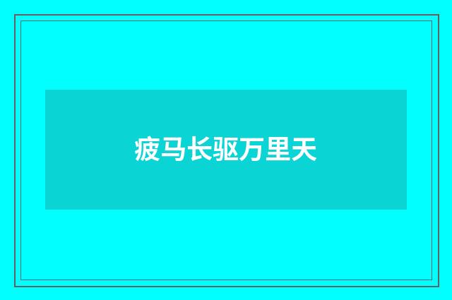 疲马长驱万里天