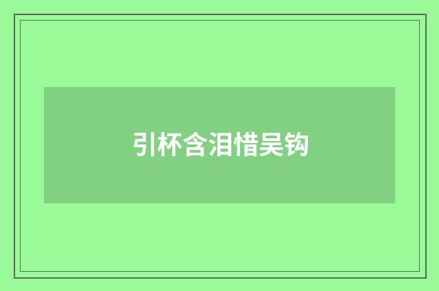 引杯含泪惜吴钩