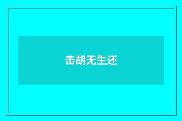 击胡无生还