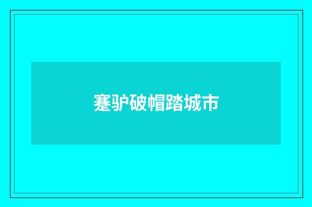 蹇驴破帽踏城市