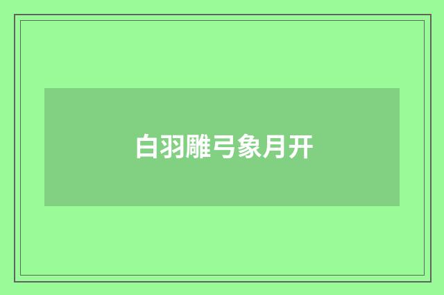 白羽雕弓象月开