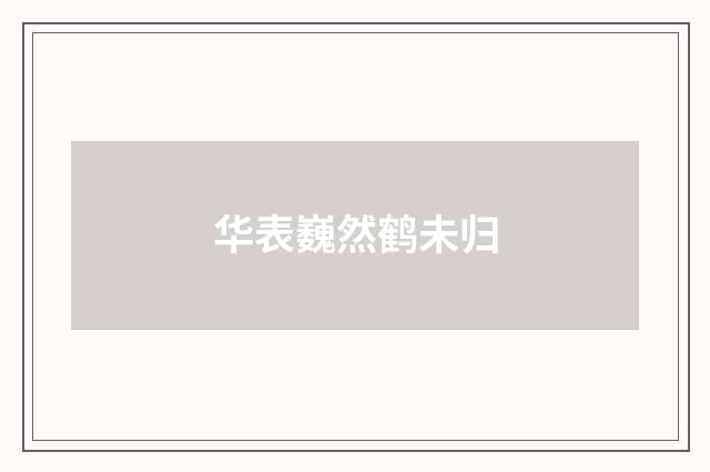 华表巍然鹤未归