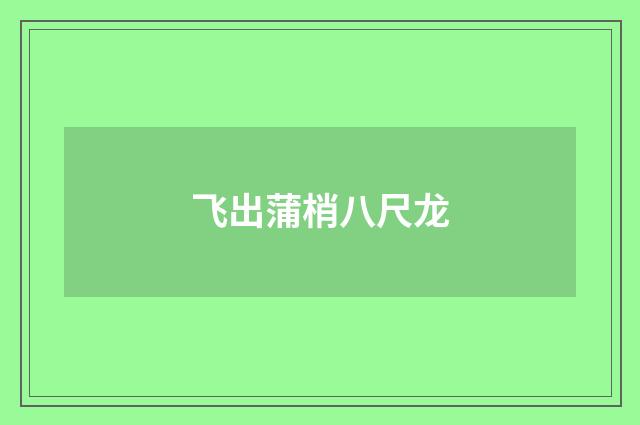 飞出蒲梢八尺龙