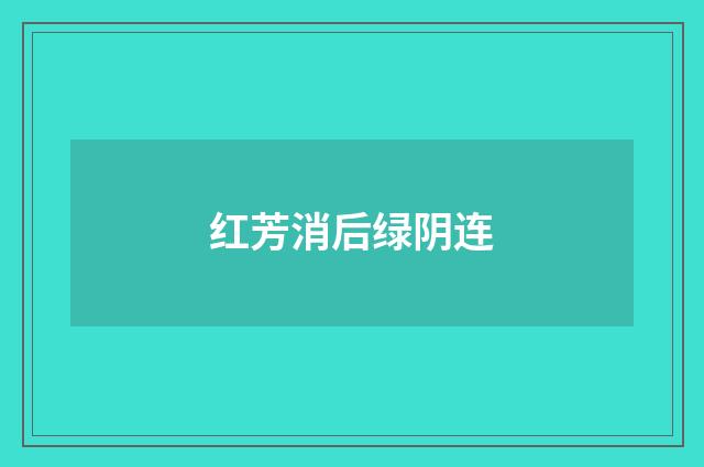 红芳消后绿阴连