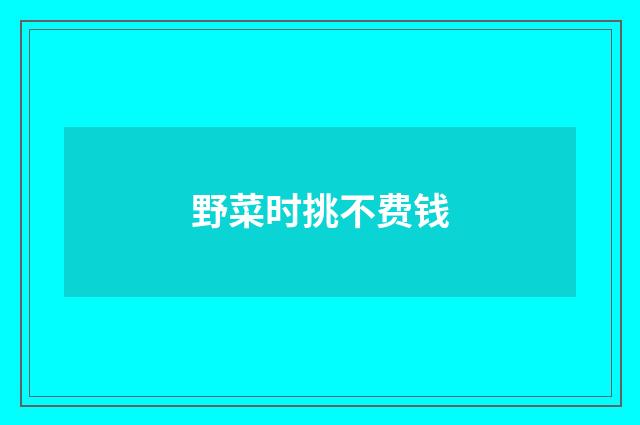 野菜时挑不费钱