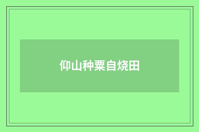 仰山种粟自烧田