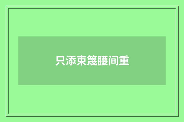只添束篾腰间重