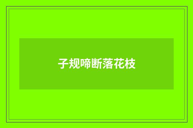 子规啼断落花枝