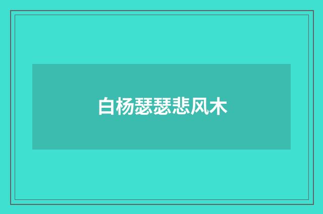白杨瑟瑟悲风木