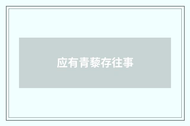 应有青藜存往事