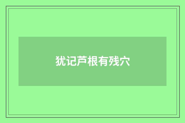 犹记芦根有残穴