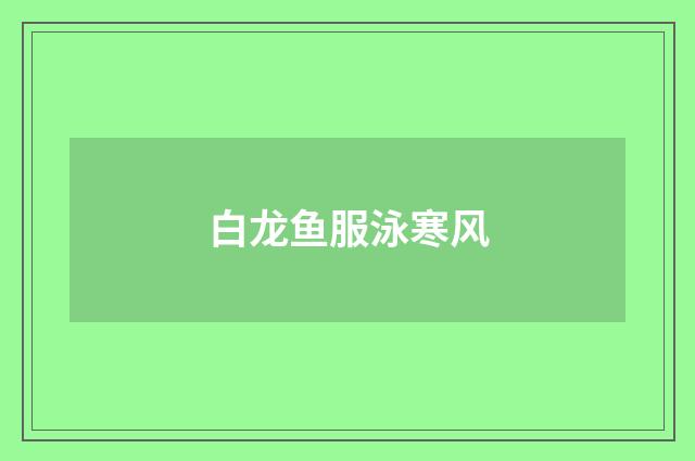白龙鱼服泳寒风