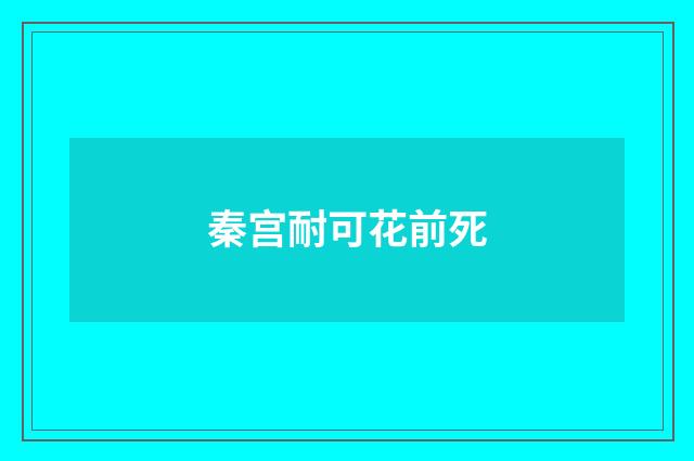 秦宫耐可花前死