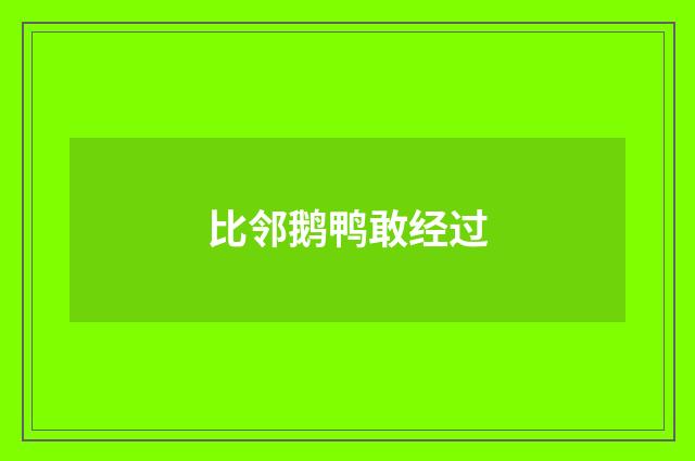 比邻鹅鸭敢经过