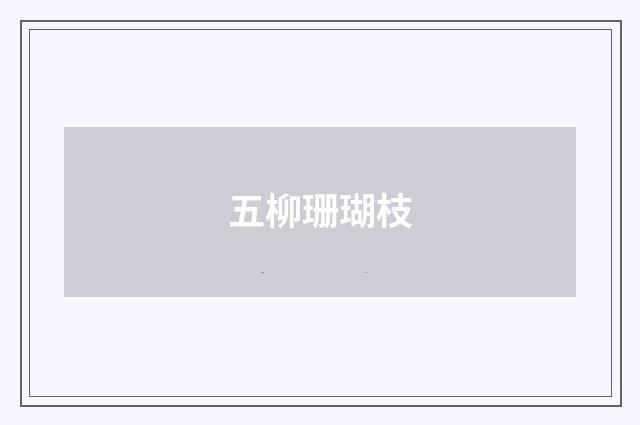 五柳珊瑚枝