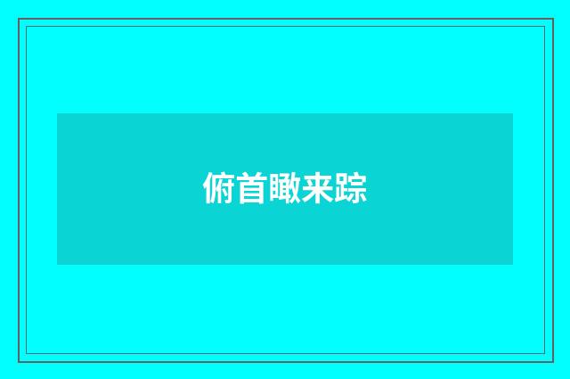 俯首瞰来踪