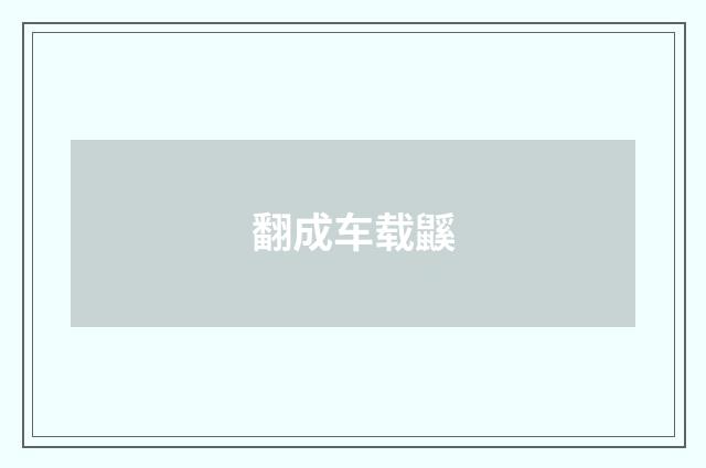 翻成车载鼷