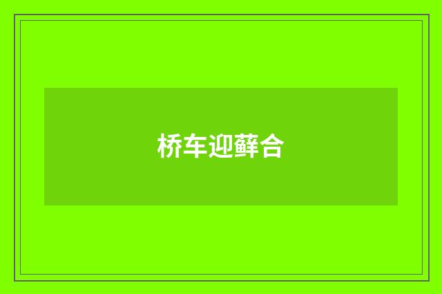 桥车迎藓合