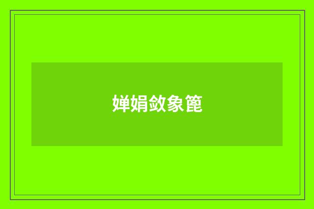 婵娟敛象篦