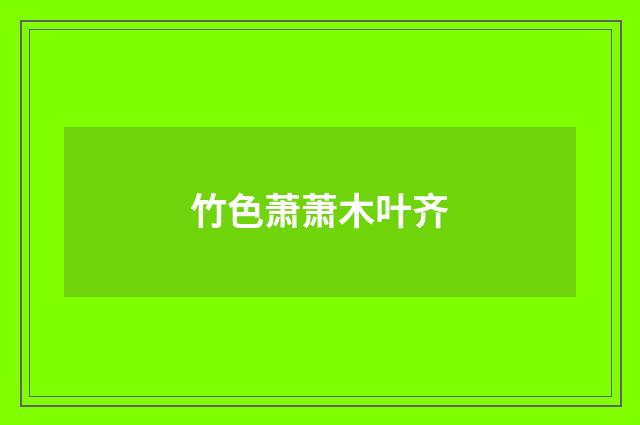 竹色萧萧木叶齐