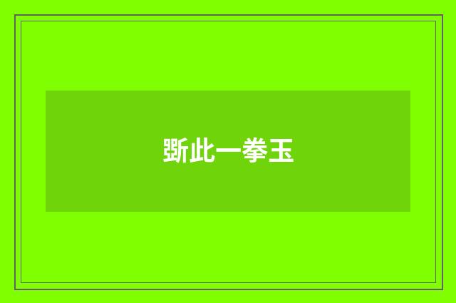 斲此一拳玉