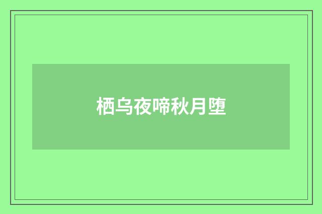 栖乌夜啼秋月堕