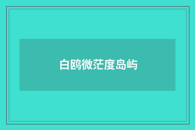 白鸥微茫度岛屿