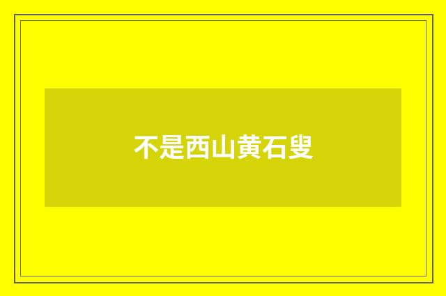 不是西山黄石叟